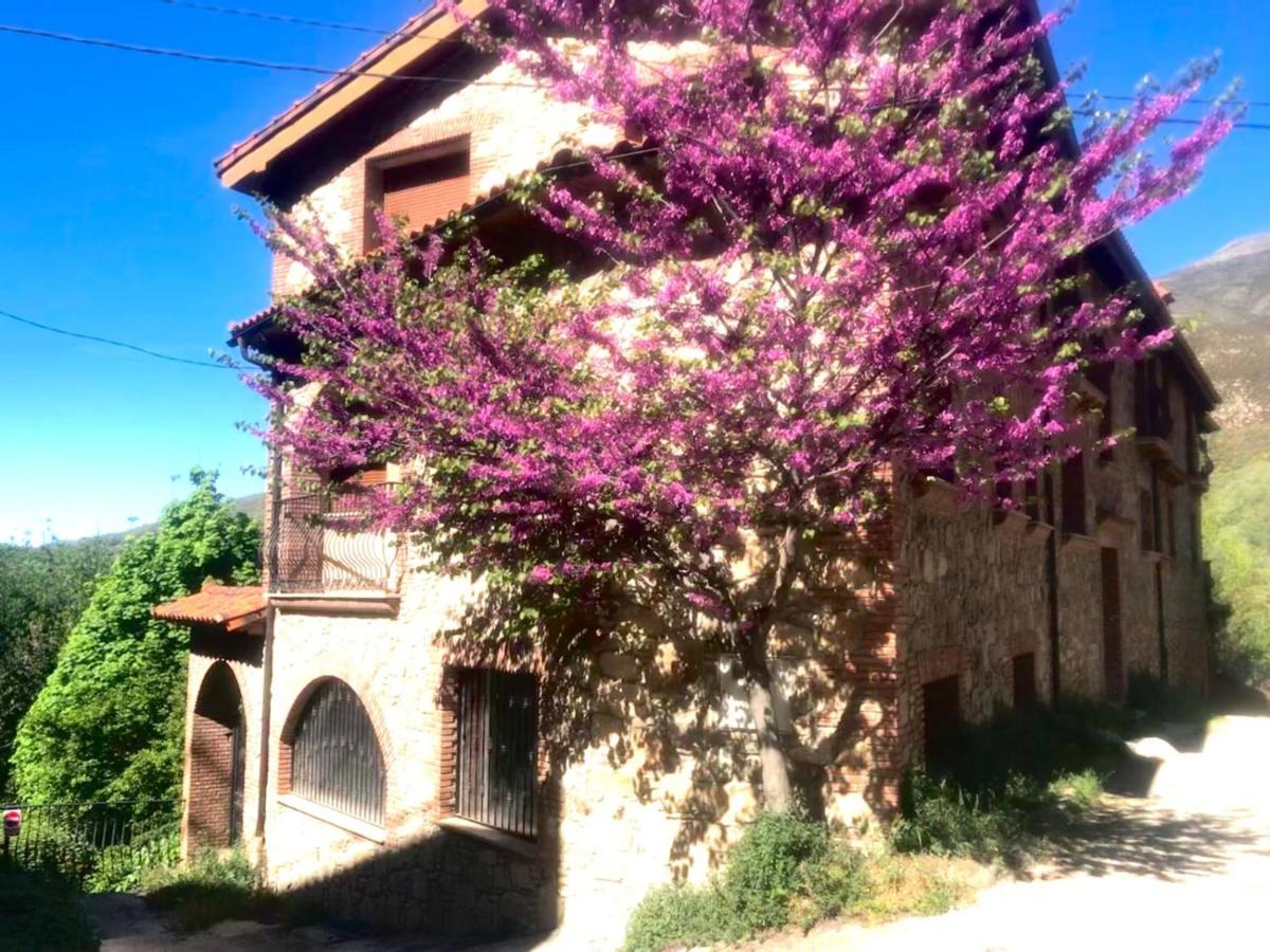 Guijo de Santa Bárbara La Almazara Del Guijo 아파트 외부 사진